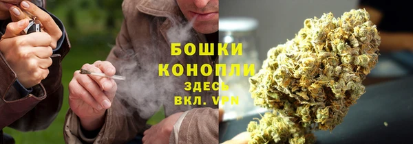 экстази Богданович