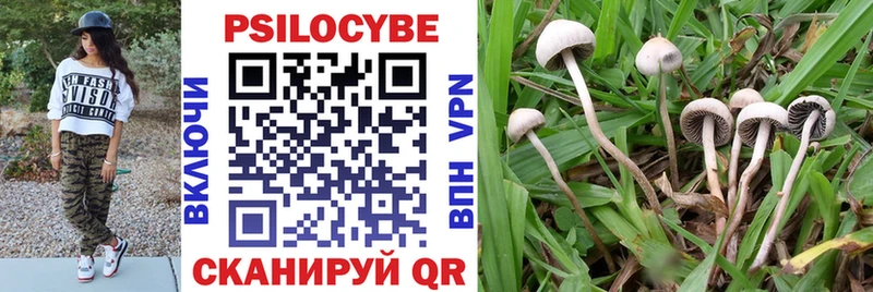 Галлюциногенные грибы Psilocybine cubensis Высоцк